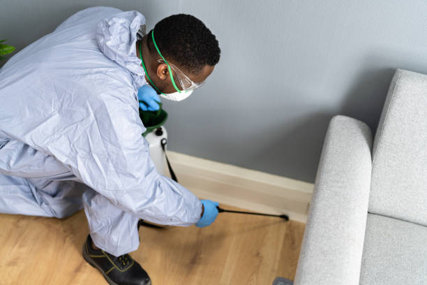 Best Pest Control for Hotels  in Rockford, MN